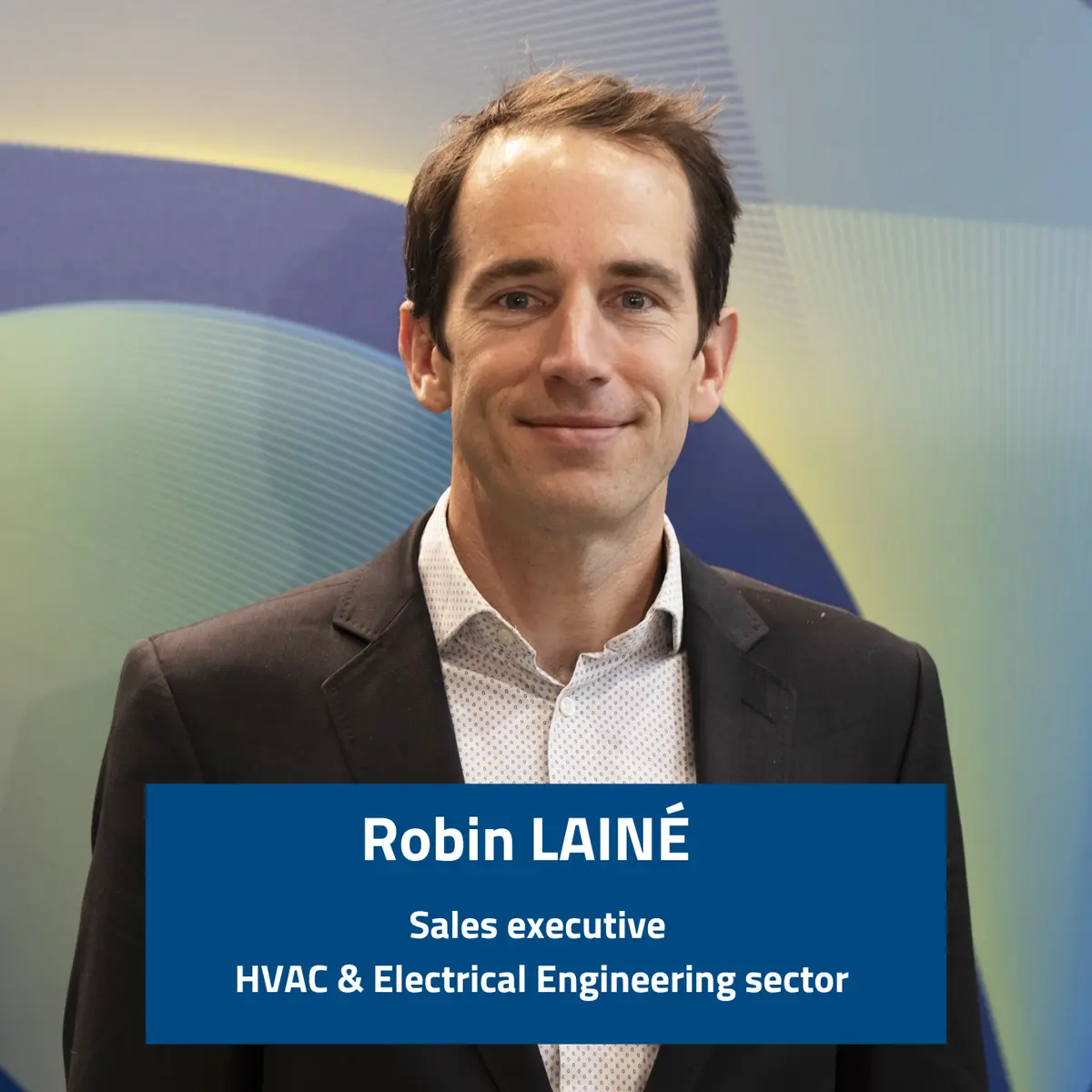 Miniature Robin Miniature Robin